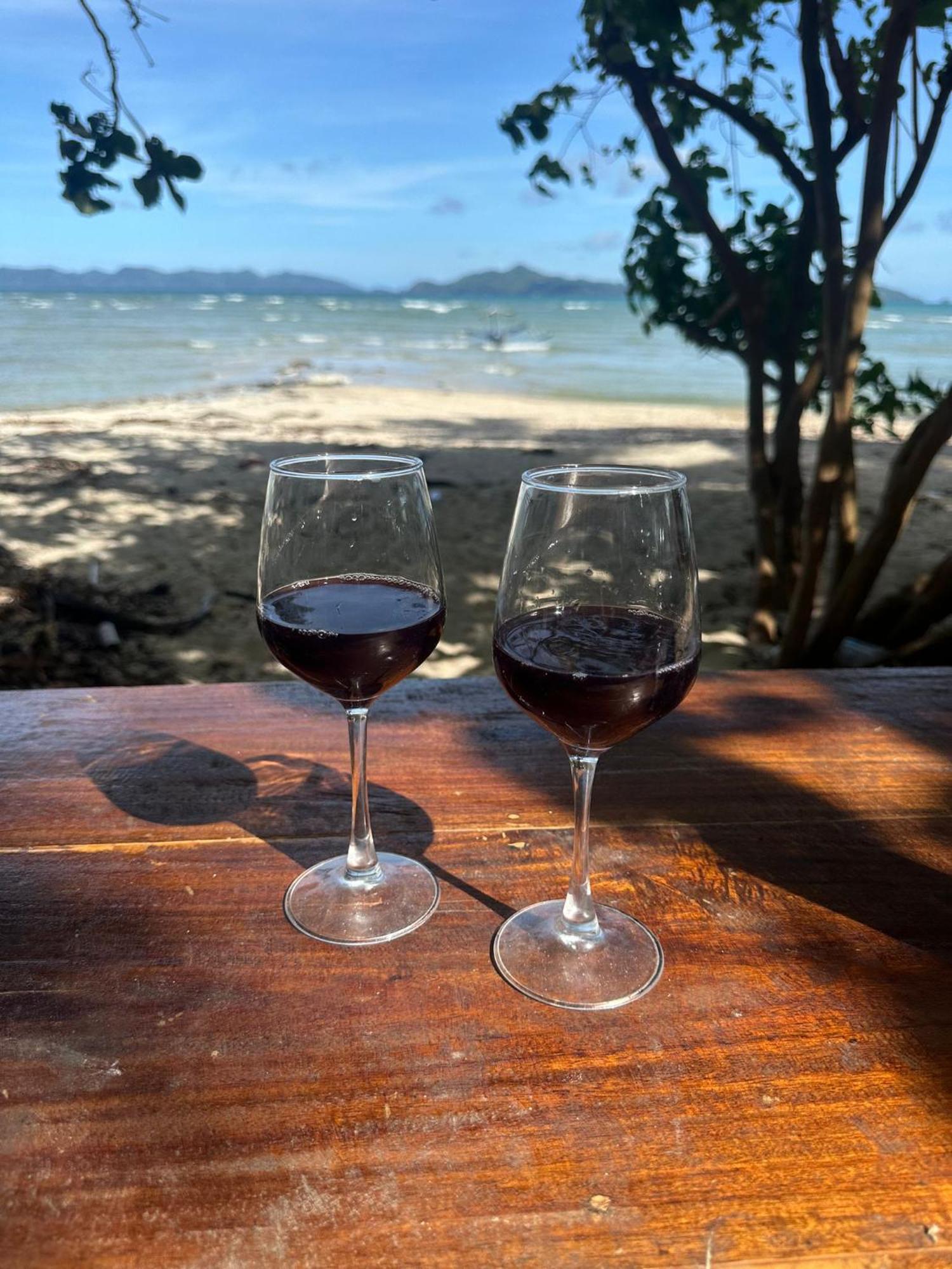 Efrena Agro Tourism Beach 엘니도 외부 사진
