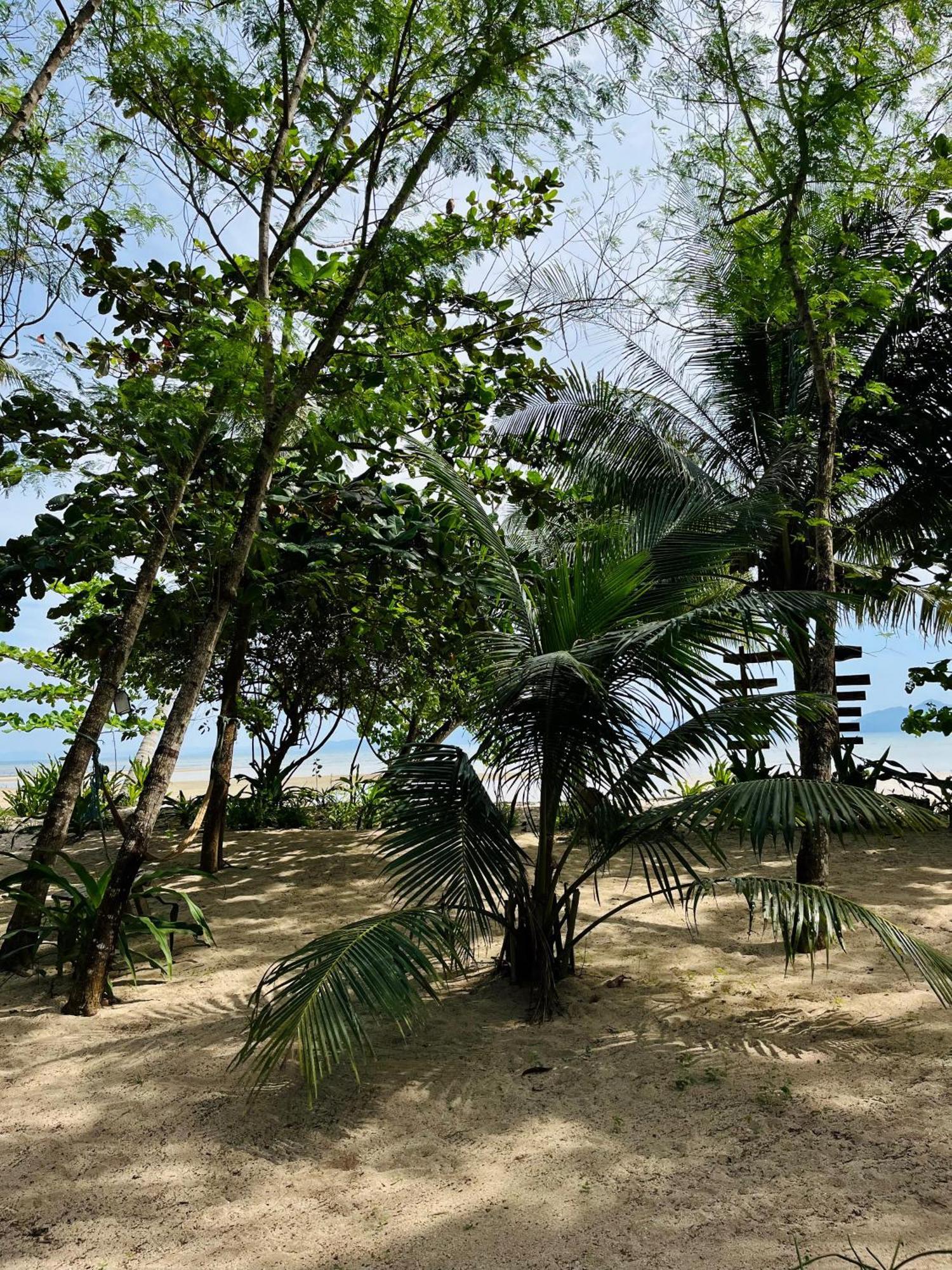Efrena Agro Tourism Beach 엘니도 외부 사진