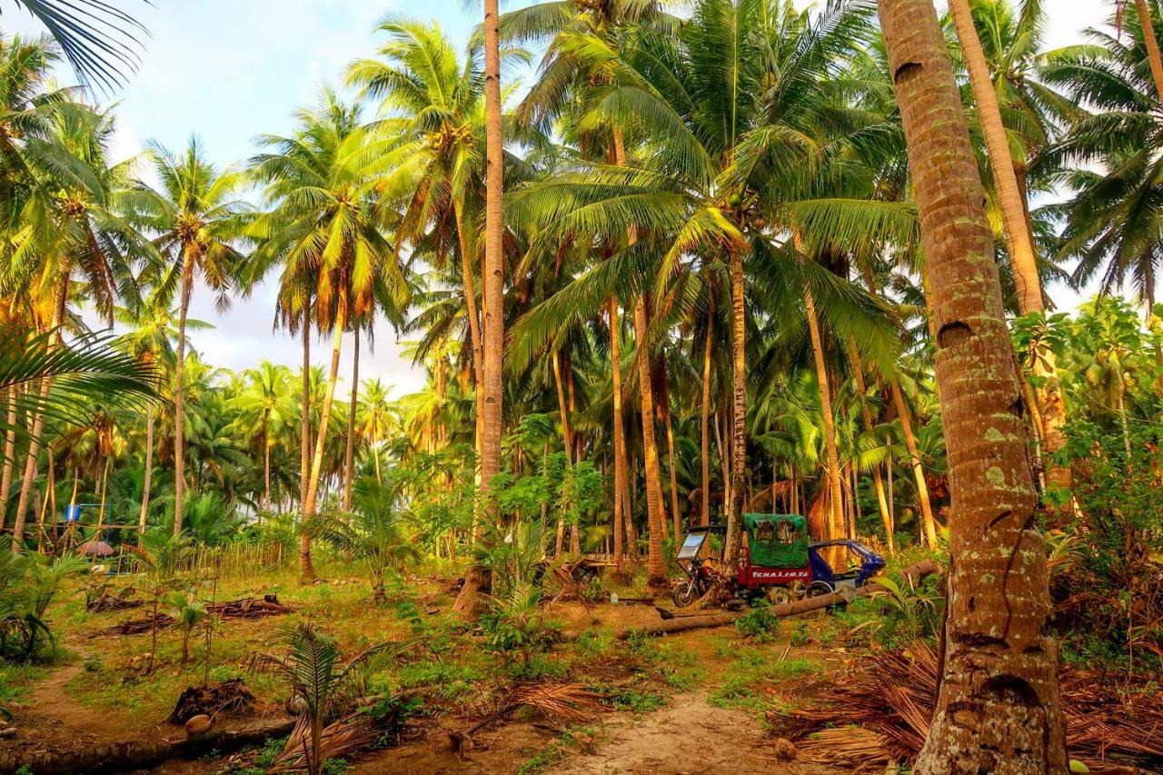 Efrena Agro Tourism Beach 엘니도 외부 사진